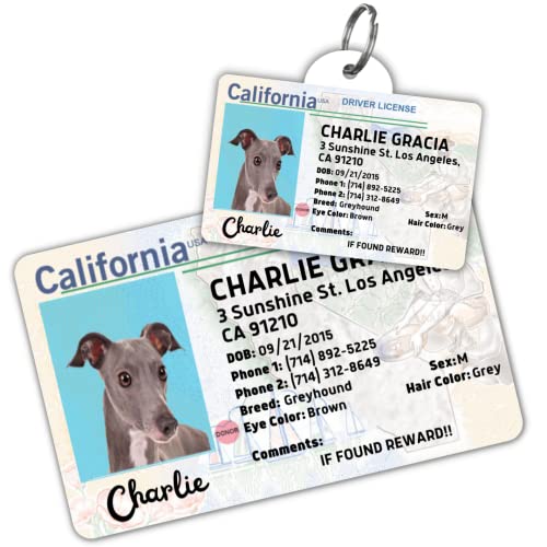 Driver License Custom Dog Tag For Pets And Wallet Card - Dog Tags For Dogs - Dog Id Tag - Personalized Dog Id Tags - Cat Id Tags - Pet Id Tags For Cats - Personalized Pet Id Tags (California, Tag) #TOP22
