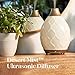 Young Living Desert Mist Essential Oil Diffuser | Ultrasonic Aromatherapy Diffuser & Humidifier | 11 LED Light Modes | 3 Run Modes & Auto Shut-Off | 10-Hour Run Time for Home & Office