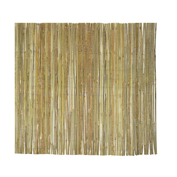 Floordirekt Bambusmatte Brasil | Sichtschutz-Zaun aus gespaltenem Bambus | Natürlicher Sicht- & Windschutz | für Balkon… – Bild 8