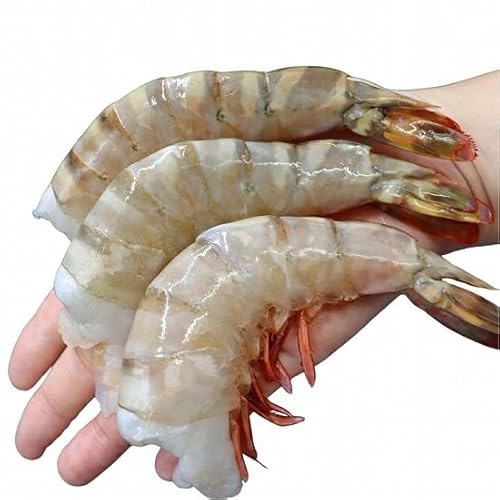 【当店直輸入】天然!!フラワー海老 8/12 特大 サイズ 超特大 32尾から48尾入り 900gX2 1.8kg 1尾約37g〜56g 甘みが強い 冷凍エビ 冷凍えび 天然エビ エビチリ 海鮮鍋 エビフライ 天ぷら BBQ フラワーエビ 海鮮 大海老 大