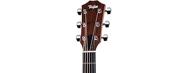 Amazon.com: Taylor Academy Series 10e Dreadnought Guitar