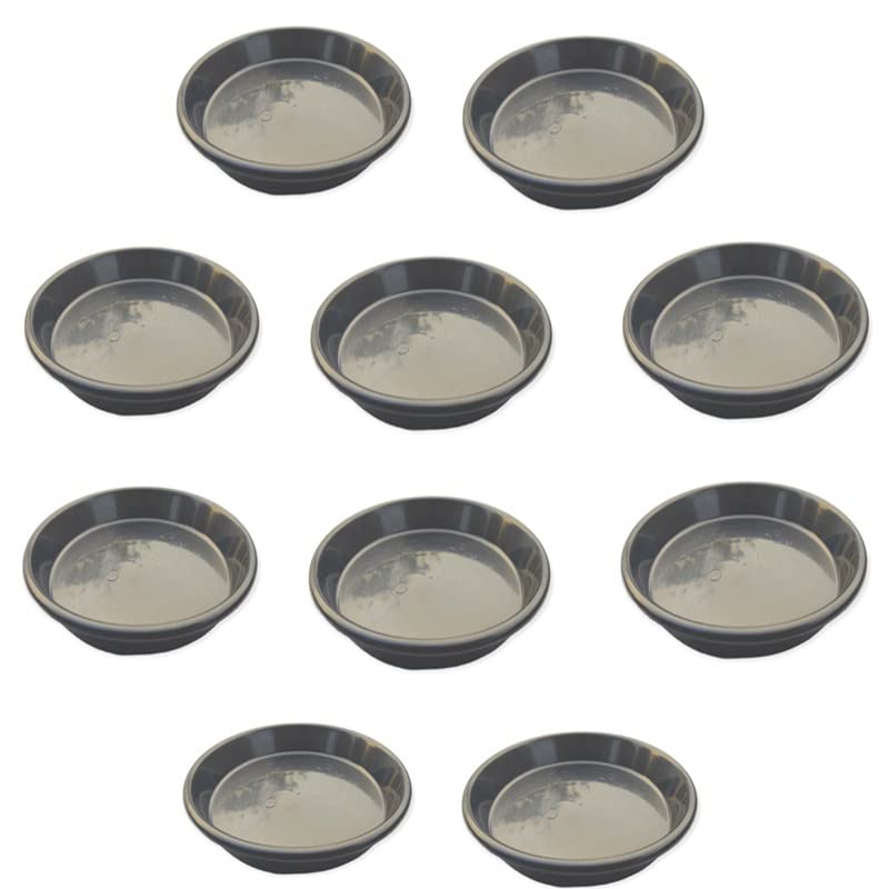 Zeonely Mart Plastic Plates (Tray/Saucer) For Planter Pots, Black Color, 12 size, pack of 10 pcs (B09Z98BLRH) Amazon Price History, Amazon Price Tracker