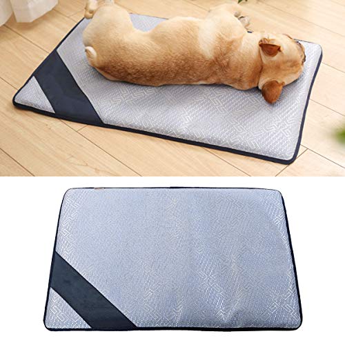 Powerking Hundebett Wasserdicht 60x40cm - Weiches Schlafkissen Für Kleine Hunde & Katzen