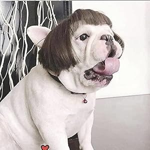 Funny Dog Cat Cosplay Wig,Pet Wigs for Halloween, Christmas, Parties, Festivals, Dog Wigs for Small Medium and Large Dogs (Black Brown Straight) Funny Dog Cat Cosplay WigPet Wigs for Halloween Christmas Parties Festivals Dog Wigs for Small Medium and Large Dogs Black Brown Straight