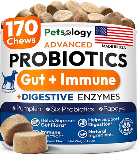 Probiotics for Dogs - 170 Dog Probiotics Chews - Digestive Enzymes & Prebiotics - Support Gut Health, Diarrhea, Gas & Constipation Relief - Itchy Skin, Allergies, Yeast Balance - Advanced Supplement