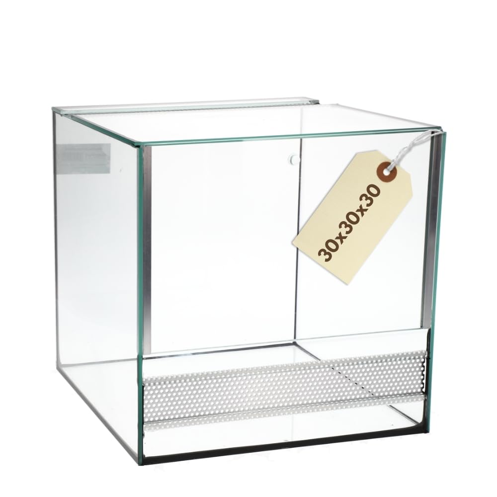 Terrarium 30x30x30 cm Schnecken Spinnen Amphibien Glas Terrarium Mit Belüftung Pflanzen Reptilienbecken Mit Falltür Glasterrarium 30 Klein