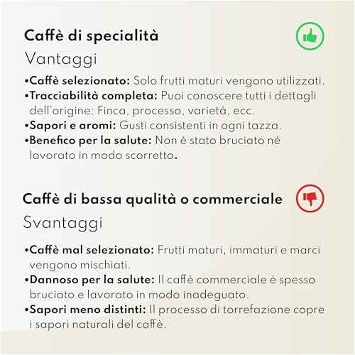 Bocono Specialty Coffee - Specialty Coffee - Scatola da 10kg di Caffè in Grani dal Brasile - Tostatura Medio-Chiara. Chicchi di Caffè Naturale Arabica per Espresso, V60