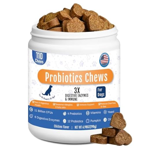 Probiotic Chews for Dog Digestive Health