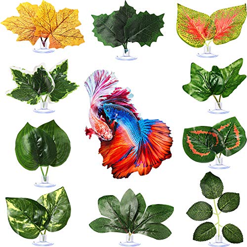 Betta Fish Leaf Pad Hammock Simulating Habitat for Betta Lightweight and Realistic Resting Spot to Improves Betta's Health (10 Pieces)