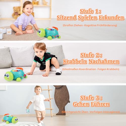 Herenear Baby Krabbel Spielzeug, Schildkröten Krabbelspielzeug mit Licht und Musik, Pädagogisches Spielzeug Baby, Lernspielzeug Geschenk, Kriechendes und Singendes Musikalisches Babyspielzeug