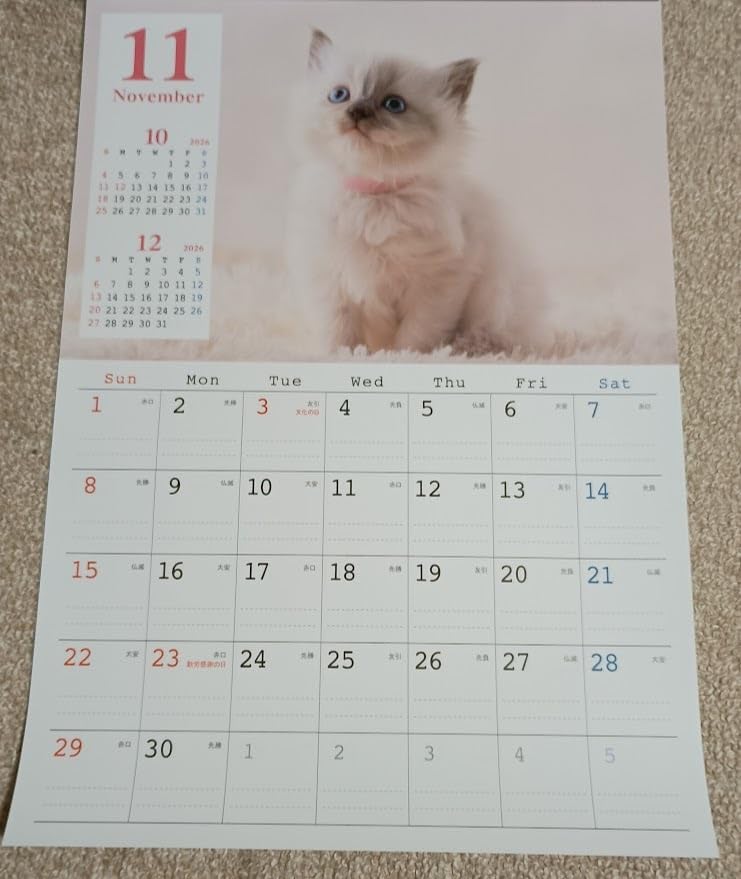 猫 2冊 A3 壁掛けカレンダー 2026年 約44&times;29cmネコ キャット ねこ アニマル こよみ 暦