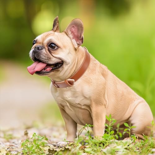 HEELE Hundehalsband aus weichem Leder, für kleine Hunde, atmungsaktiv, gepolstert, mit D-Ring, verstellbar, klassisches Hundehalsband, Braun, S