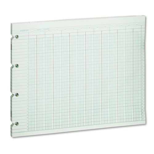 Wilson Jones - Accounting Sheets, 24 Column, 9-1/4 x 11-7/8, 100 Loose Sheets/Pack, Green G10-24 (DMi PK