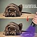ESCO LITE Escolite UV Flashlight Black Light, 2 Pack 51 LED 395 nM Ultraviolet Blacklight Detector for Dog Urine, Pet Stains and Bed Bug