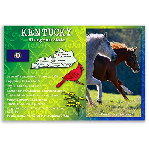 KENTUCKY STATE FACTS postcard set of 20 identical postcards. Post cards with KY facts and state symbols. Made in USA.