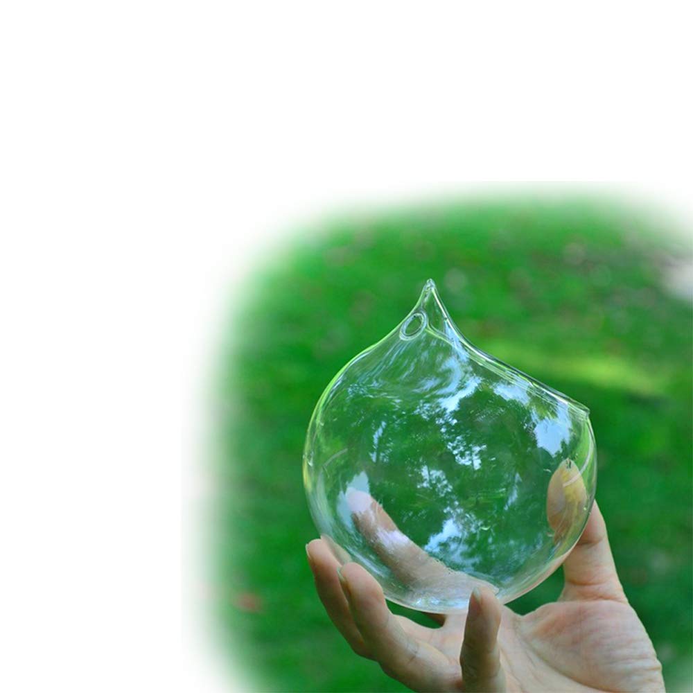 Terrarium verre suspendu plante vase hydroponique design pour votre salon lumineux