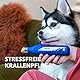 Dremel 7350 PET Krallenpflegese mit 3.6V Akku-Rotationswerkzeug Einfach zu bedienende, leichte Krallenschleifmaschine mit 2 Schleifzubehören, 1 Schutzhaube & 1 USB-Kabel, geeignet für Hunde und Katzen
