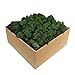 Produktbild GJS Islandmoos - Moos in 1kg / 500g / 200g, versch. Farben - Echtes konserviertes Natur-Moos (Island) zum Basteln, Dekomoos für die Deko zu Ostern, Modellbau (dunkelgrün, 1kg)