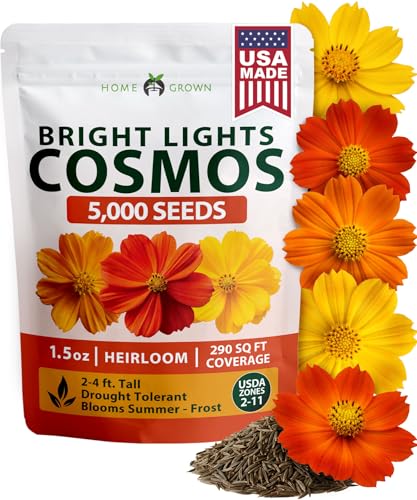 Image of HOME GROWN Cosmos Bright Lights Mix Seeds - 5000 Sulphureus for Planting Spring 2026, Refined Wildflower Herb Seed Mix, Easy Grow Outdoor Flower for Gardens