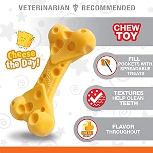 Nylabone Cheese Bone Power Chew Toy for Dogs, Cute Dog Toys for Aggressive Chewers, Cheese Flavor, Medium - Up to 35 lbs, 1 Count Nylabone Cheese Bone Power Chew Toy for Dogs Cute Dog Toys for Aggressive Chewers Cheese Flavor Medium Up to 35 lbs 1 Count