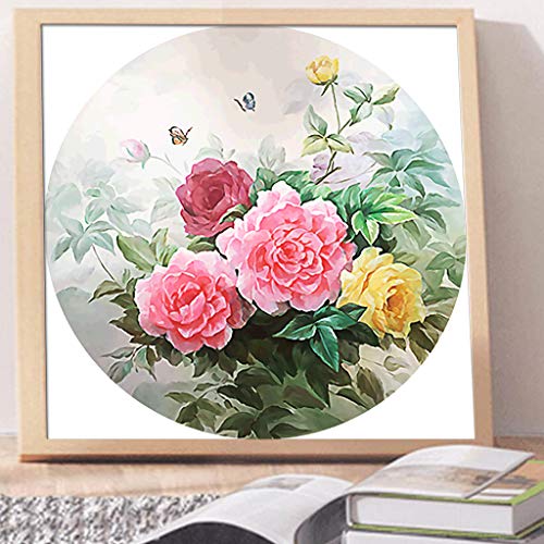 Forma Rotonda Kit Fai da Te 5D Pittura a Mosaico