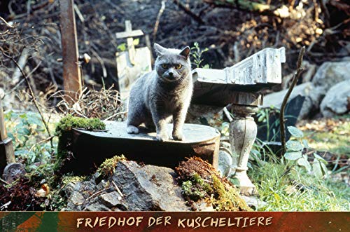 Friedhof der Kuscheltiere (1989) – 4K Blu-ray (UHD + Blu-ray Disc)