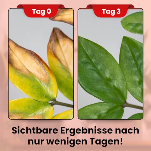 LERAVA® – Eisenchelat Dünger (800g) – Eisendünger für Pflanzen | Hortensien Dünger Eisen – Wirkt gegen Chlorose & Blattvergilbung – Kräftiges Blattgrün & sichtbarer Effekt nach wenigen Tagen 2