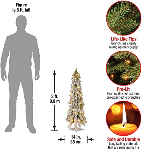National Tree Company Pre-Lit Artificial Mini Christmas Tree | Includes Pre-Strung White Lights | Snowy Downswept Forestree - 3 Ft #TOP2