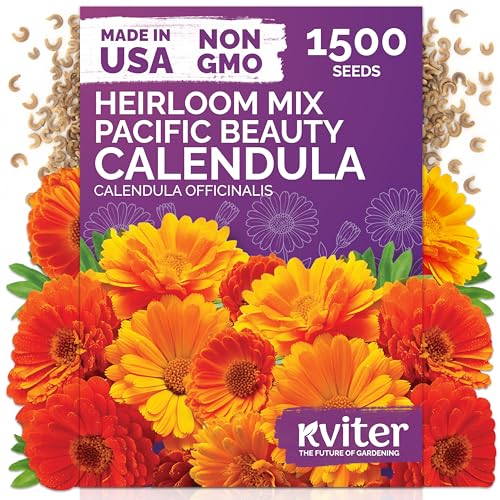 KVITER 1500 Mix Pacific Beauty Calendula Seeds (Calendula Officinalis) - Pot Marigold Heirloom and Non GMO - Annual Flower Seeds in Seed Packets for Outdoor and Indoor Garden Containers Cut Flowers
