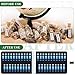 Silkfly 4 Pack Homeopathy Organizer Box Foldable Homeopathy Storage Case Box Kit for 42 Tubes Home Travel Use