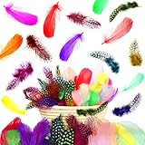 Traiga efectos brillantes a sus manualidades de bricolaje: estas plumas de colores vienen con muchos tipos de colores, como azul, púrpura, rojo, marrón, negro, amarillo, rosa, blanco, verde, gris, etc., el color es aleatorio, brillante y atractivo, brindándote muchas opciones para terminar tus manualidades