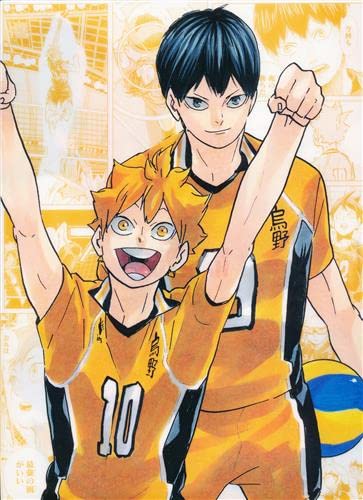 Amazon.co.jp: ハイキュー展 クリアファイル 2種セット 烏野 日向 影山