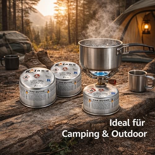 Roland Camping Gaskartusche Schweißbrenner Stechkartusche (12 x 190g) – Ansicht 2