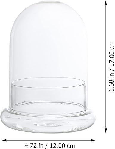 Miniatura 3 de Frasco de terrario de musgo de botella ecológica - Cloche de cristal para plantas en miniatura Exhibiciones de plantas en casa D Cor y control de