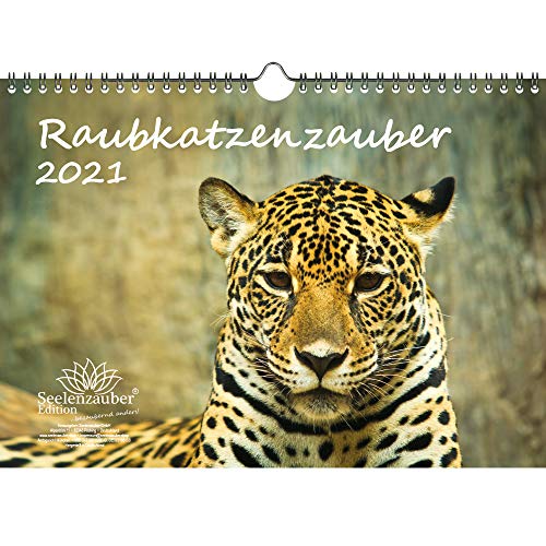 Télécharger Calendrier 2021 Raubkatzenzauber DIN A4 pour différents chats prédateurs – Coffret cadeau Conten Livre eBook France