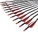 ELONG OUTDOOR Carbon Arrow Targeting Arrows with 100 Grain Tip and Removable Tips for Archery Compound & Recurve & Traditional Bow Practice Shooting Targeting (Pack of 12)