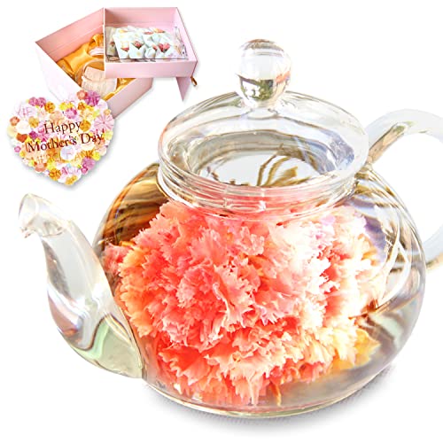 花 の お茶 中国茶の人気商品 通販 価格比較 価格 Com 花 の お茶 中国茶の人気商品 通販 価格比較 価格 Com