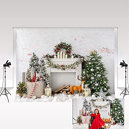 Toile de fond Noël Kate grand format 3x3m avec décor réaliste sans reflet