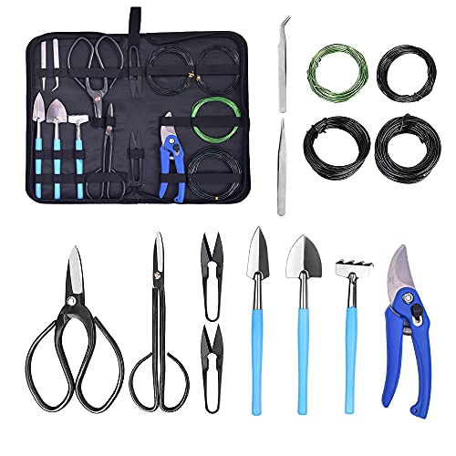 10 Best Bonsai Tools For Beginners Reviews & Buying Guide BSB&G
