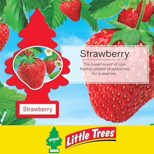 Image of Little Trees Strawberry Air Freshener | Sweet Fruity Fragrance | Iconic Tree Hanging Design | For Car, Home, Wardrobe | Imported from USA