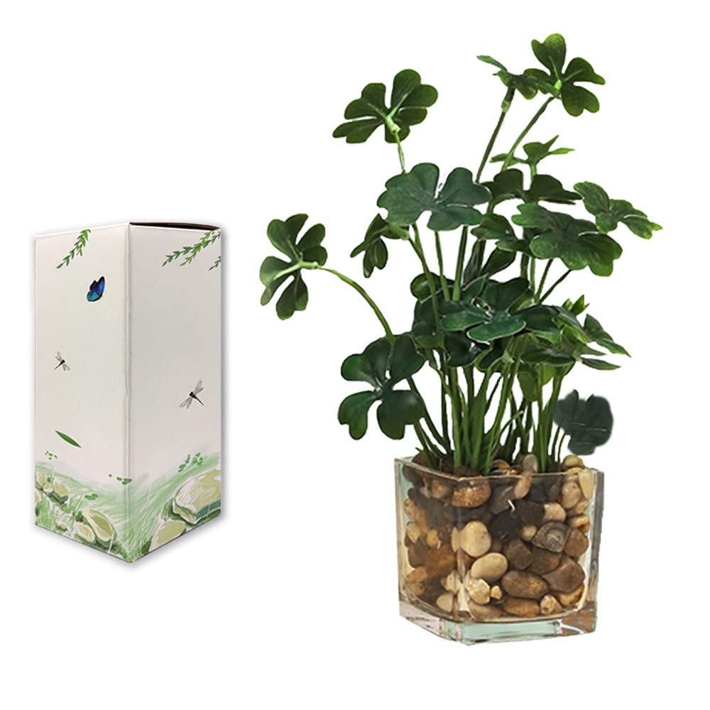 Photo 1 of Acapeting Small Fake Plants Ultra Lifelike Artificial Simulation Potted with Glass Pots for Office Desk Home Bathroom Table Winodws Decoration Siyecao