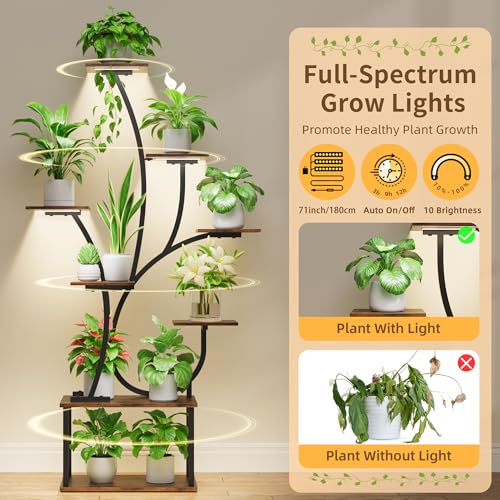 Image of Plant Stand Indoor with Grow Lights - Lighted Plant Shelf Indoor, 63 inch Tall Plant Stands for Indoor Growing, 8 Tier Corner Flower Display Shelf, Large Tree-Shaped Holder for Living Room Bedroom Black