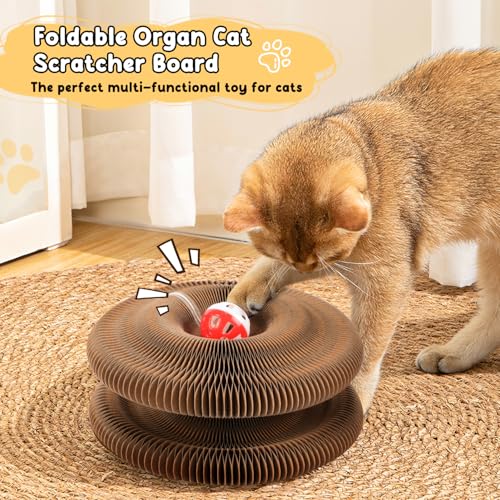 Rascador Interactivo para Gatos con Bola y Cartón miniatura 2
