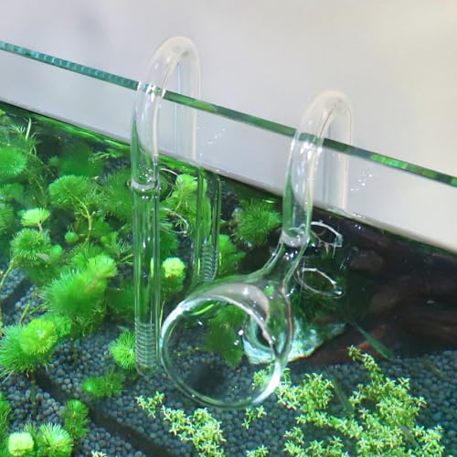 Image of 13mm Aquarium Glass Lily Pipe with Inflow, Outflow and Brush & 6 Suction Cups for 1 /2 inch ID (12 /16mm) Tubing
