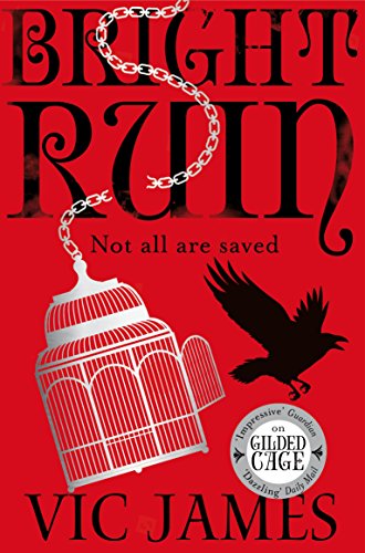 Télécharger Bright Ruin (The Dark Gifts Trilogy) (English Edition) livre En ligne