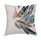 Swono Bird Feather Throw Pillow Cover Teal Brown Turquoise Feather Decorative Pillow Case Home Decor Square 16x16 Inches Pillowcase