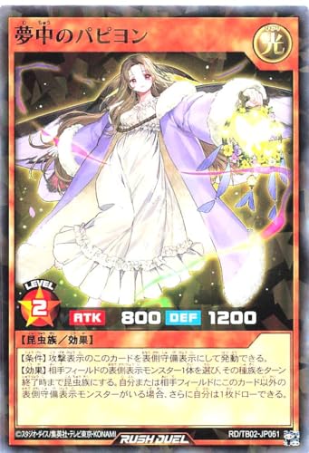 bVfG RD/TB02-JP061 ̃ps m[}p NP gvrhpbNG{[VECpNg