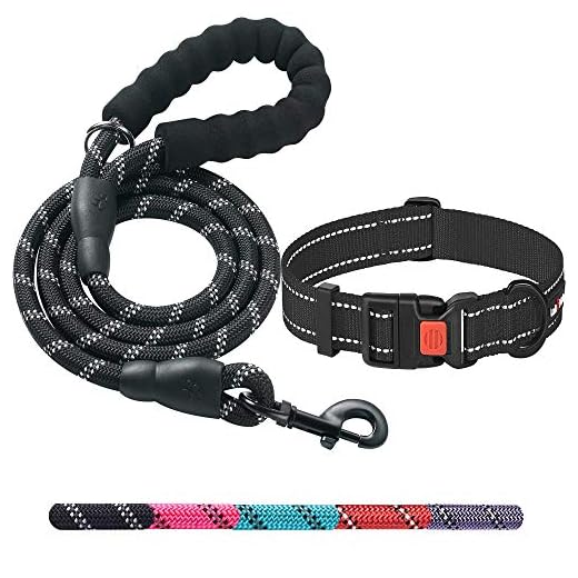 Best Dog Collar And Leash For You in 2023 | Dog Harness Ladoogo Heavy Duty Dog Leash - Comfortable Padded Handle, 5 ft Long - Dog Leashes for Small Medium Large Dogs (Leash+Collar M Neck 16"-20", Black)