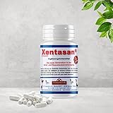 TEEKONTOR Wir sind die Zukunft Naturprodukteauf höchstemNiveau