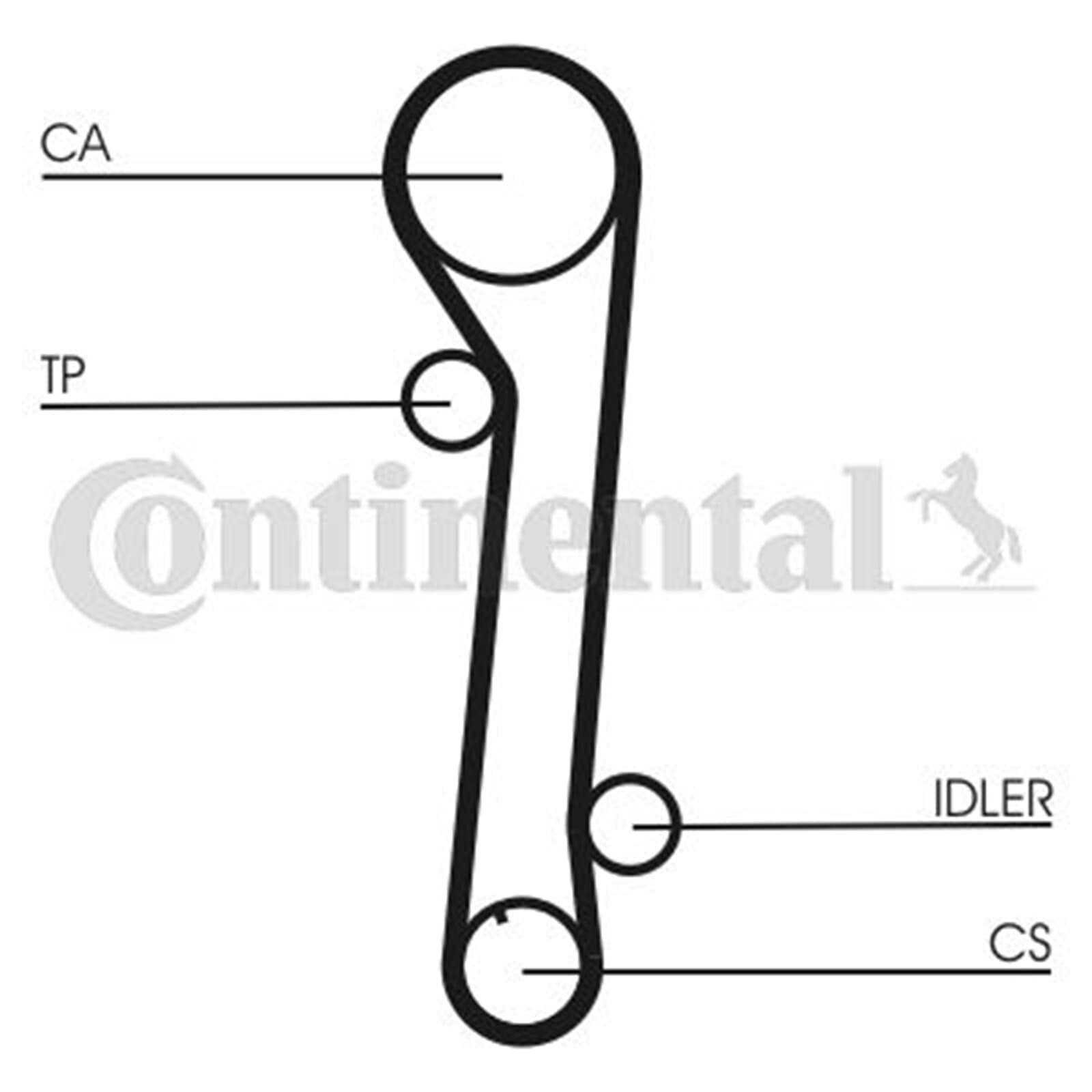 CONTITECH Kit cinghia di distribuzione CT937K1 N° denti: 113 25mm Compatibilità con HYUNDAI TUCSON JM, KIA SPORTAGE JE, KM